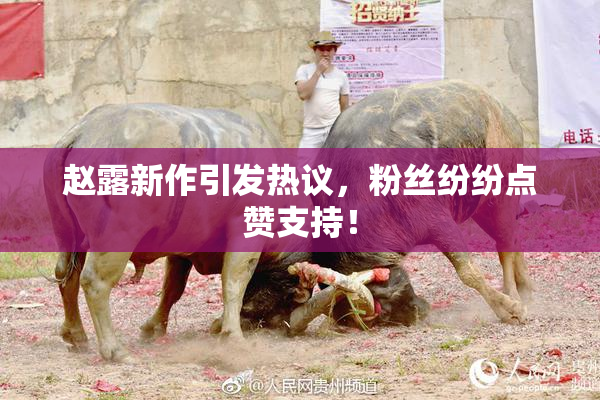 赵露新作引发热议，粉丝纷纷点赞支持！