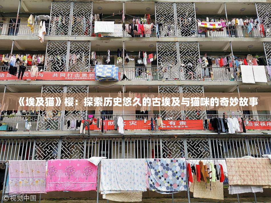 《埃及猫》樱：探索历史悠久的古埃及与猫咪的奇妙故事