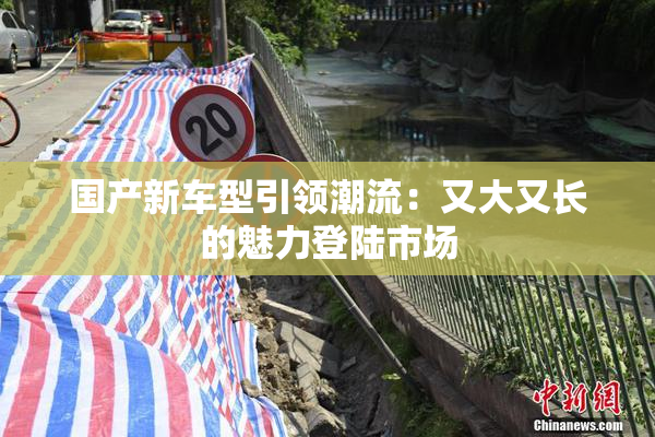 国产新车型引领潮流：又大又长的魅力登陆市场