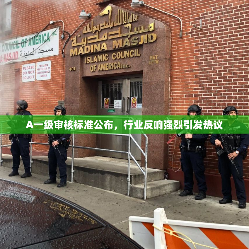 A一级审核标准公布，行业反响强烈引发热议