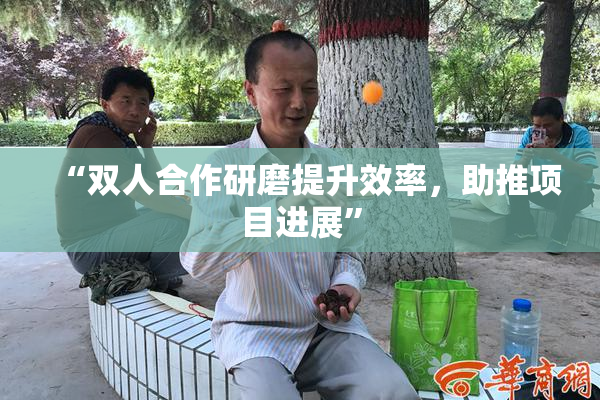 “双人合作研磨提升效率，助推项目进展”