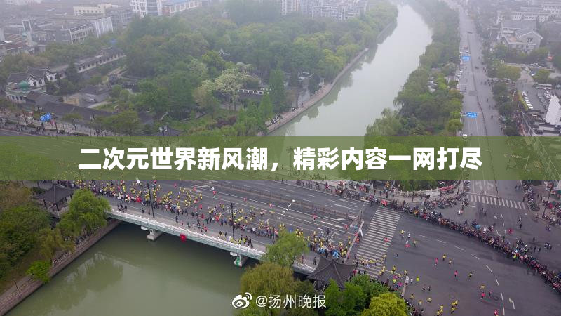 二次元世界新风潮，精彩内容一网打尽