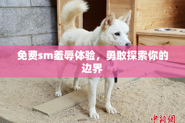 免费sm羞辱体验，勇敢探索你的边界