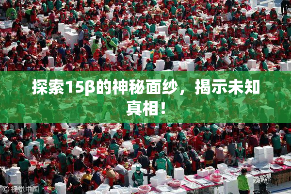 探索15β的神秘面纱，揭示未知真相！