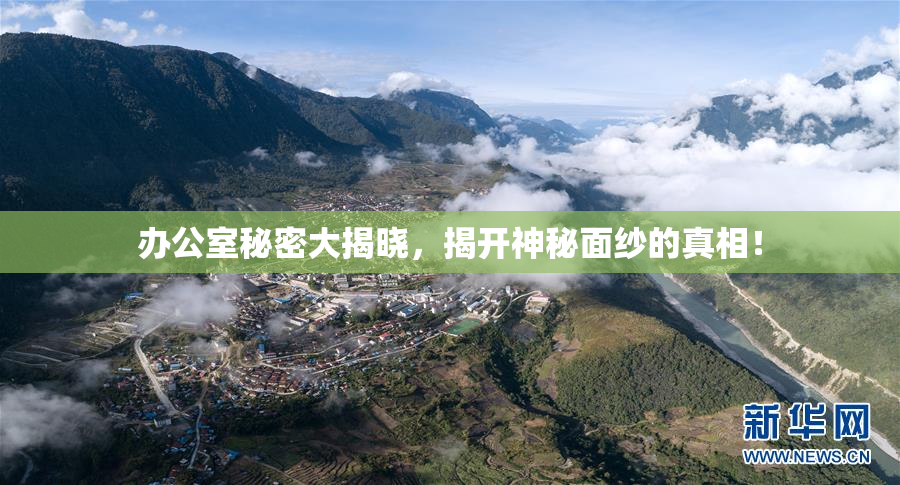 办公室秘密大揭晓，揭开神秘面纱的真相！