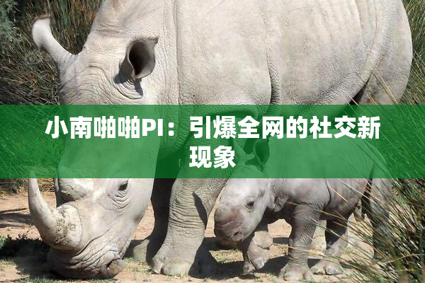 小南啪啪PI：引爆全网的社交新现象