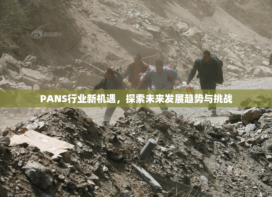 PANS行业新机遇，探索未来发展趋势与挑战