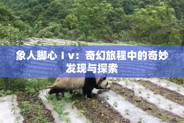 象人脚心Ⅰv：奇幻旅程中的奇妙发现与探索