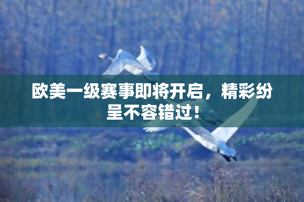欧美一级赛事即将开启，精彩纷呈不容错过！