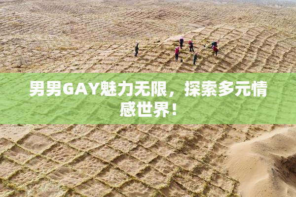 男男GAY魅力无限，探索多元情感世界！