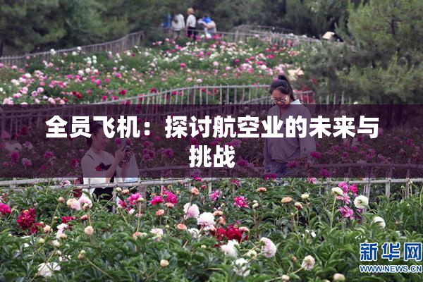 全员飞机：探讨航空业的未来与挑战