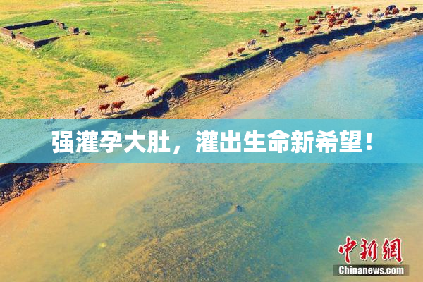 强灌孕大肚，灌出生命新希望！