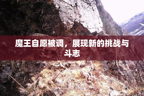 魔王自愿被调，展现新的挑战与斗志