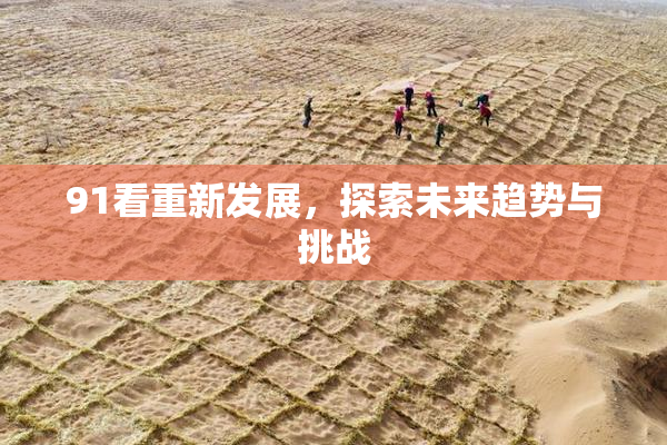 91看重新发展，探索未来趋势与挑战
