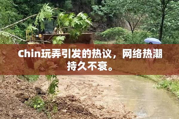 Chin玩弄引发的热议，网络热潮持久不衰。
