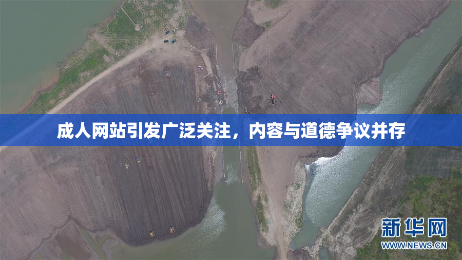 成人网站引发广泛关注，内容与道德争议并存