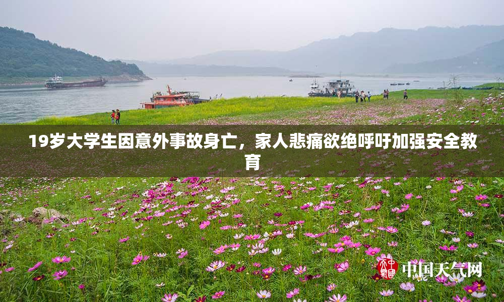 19岁大学生因意外事故身亡，家人悲痛欲绝呼吁加强安全教育