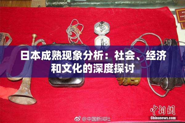日本成熟现象分析：社会、经济和文化的深度探讨