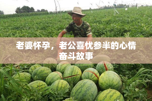 老婆怀孕，老公喜忧参半的心情奋斗故事