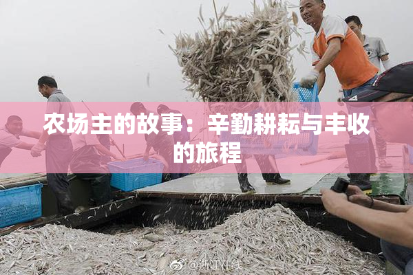 农场主的故事：辛勤耕耘与丰收的旅程