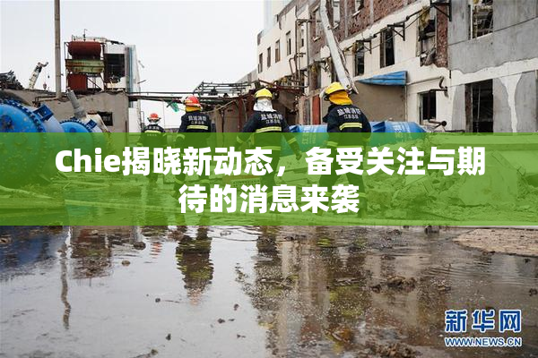 Chie揭晓新动态，备受关注与期待的消息来袭