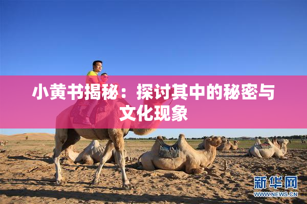 小黄书揭秘：探讨其中的秘密与文化现象
