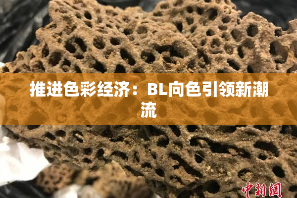 推进色彩经济：BL向色引领新潮流