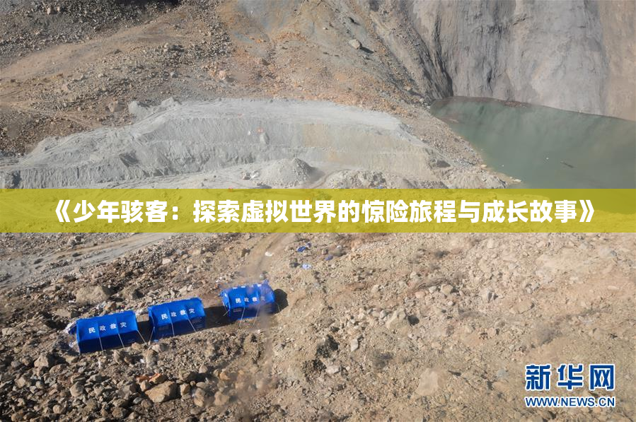《少年骇客：探索虚拟世界的惊险旅程与成长故事》