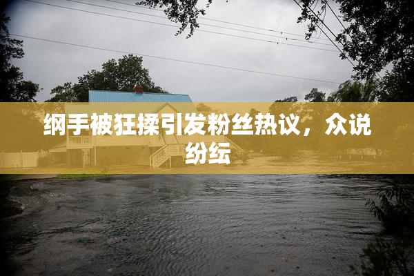 纲手被狂揉引发粉丝热议，众说纷纭