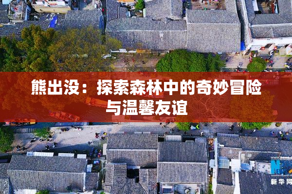 熊出没：探索森林中的奇妙冒险与温馨友谊