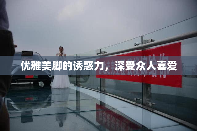优雅美脚的诱惑力，深受众人喜爱