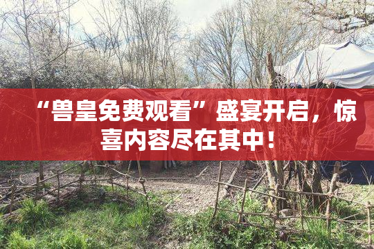 “兽皇免费观看”盛宴开启，惊喜内容尽在其中！