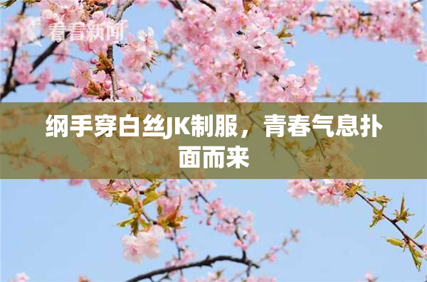 纲手穿白丝JK制服，青春气息扑面而来