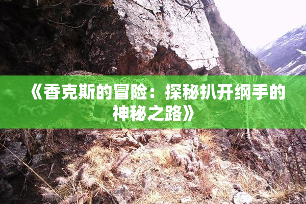 《香克斯的冒险：探秘扒开纲手的神秘之路》