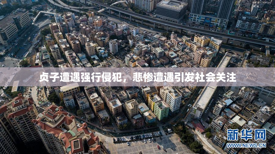 贞子遭遇强行侵犯，悲惨遭遇引发社会关注