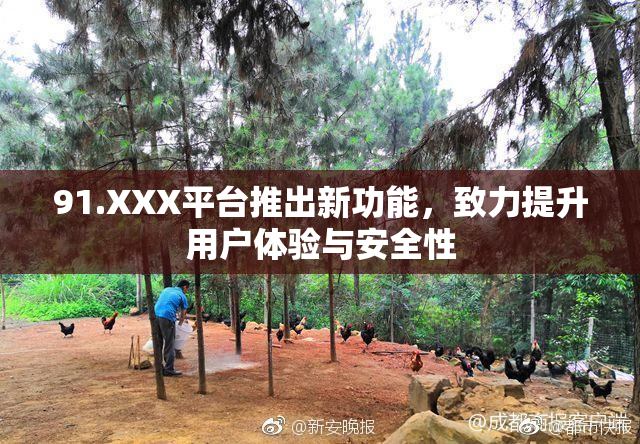 91.XXX平台推出新功能，致力提升用户体验与安全性