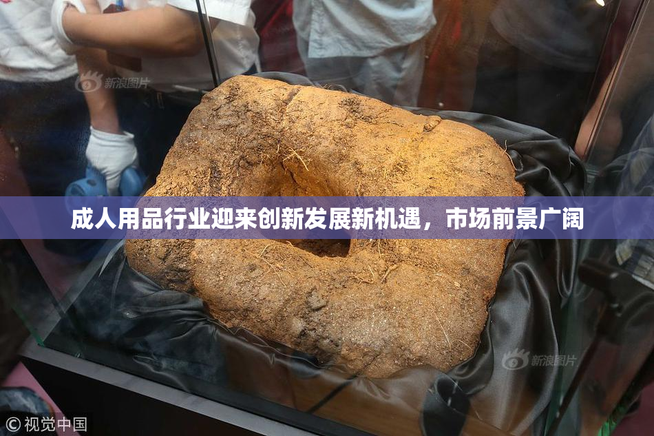 成人用品行业迎来创新发展新机遇，市场前景广阔