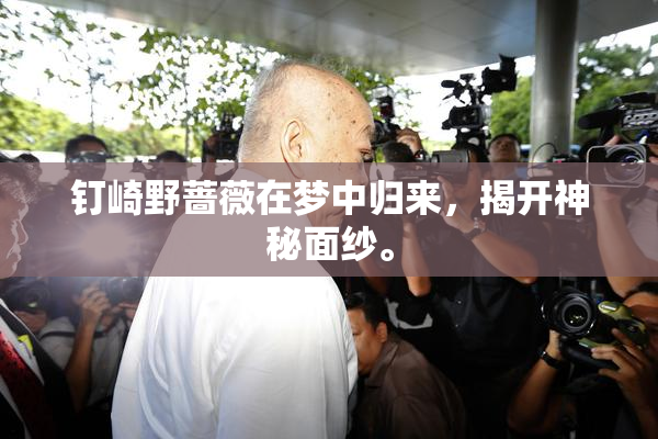 钉崎野蔷薇在梦中归来，揭开神秘面纱。