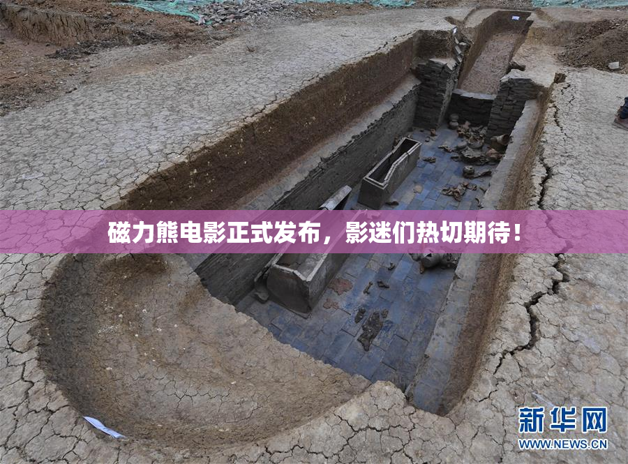 磁力熊电影正式发布，影迷们热切期待！
