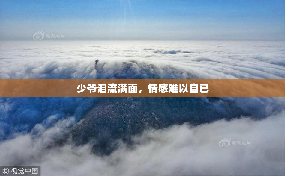 少爷泪流满面，情感难以自已