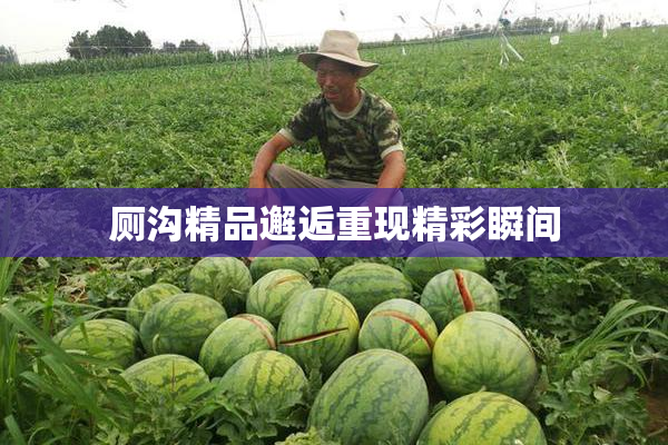 厕沟精品邂逅重现精彩瞬间