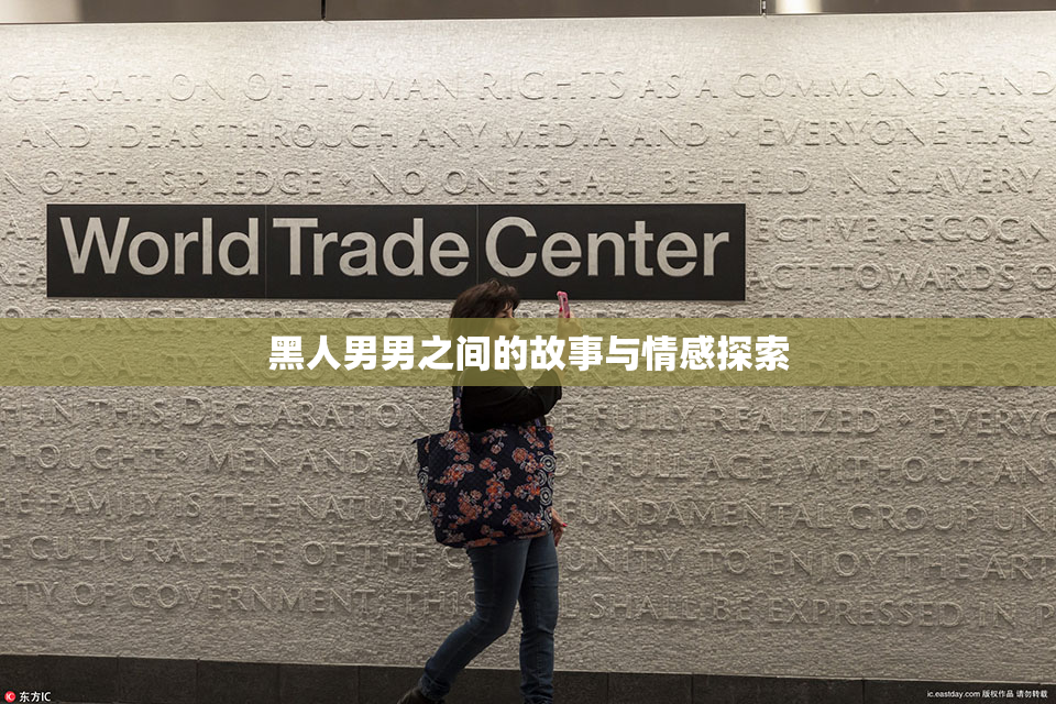 黑人男男之间的故事与情感探索