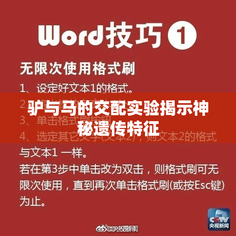 驴与马的交配实验揭示神秘遗传特征