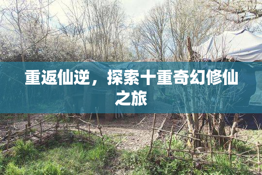 重返仙逆，探索十重奇幻修仙之旅
