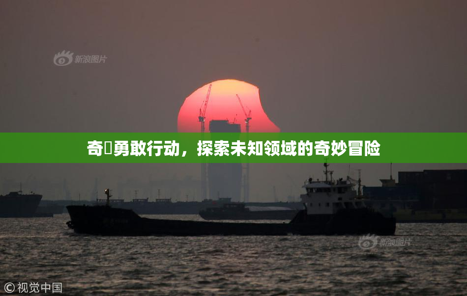 奇犽勇敢行动，探索未知领域的奇妙冒险