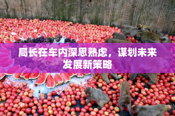 局长在车内深思熟虑，谋划未来发展新策略