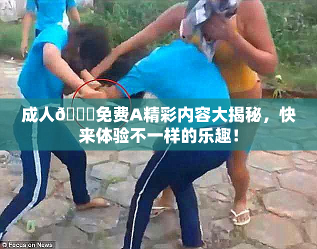 成人🔞免费A精彩内容大揭秘，快来体验不一样的乐趣！