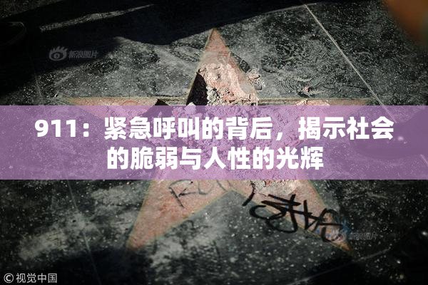 911：紧急呼叫的背后，揭示社会的脆弱与人性的光辉