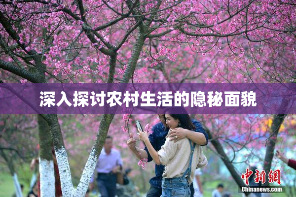 深入探讨农村生活的隐秘面貌