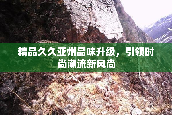 精品久久亚州品味升级，引领时尚潮流新风尚